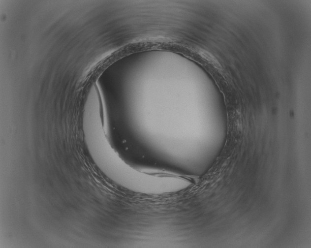 X0000065230872200603101552