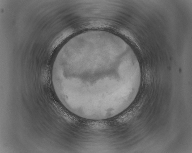 X0000065230874200603101552