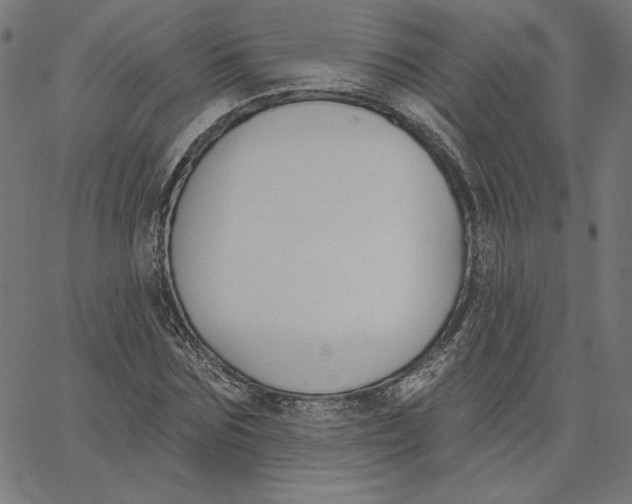 X0000065230875200603101552