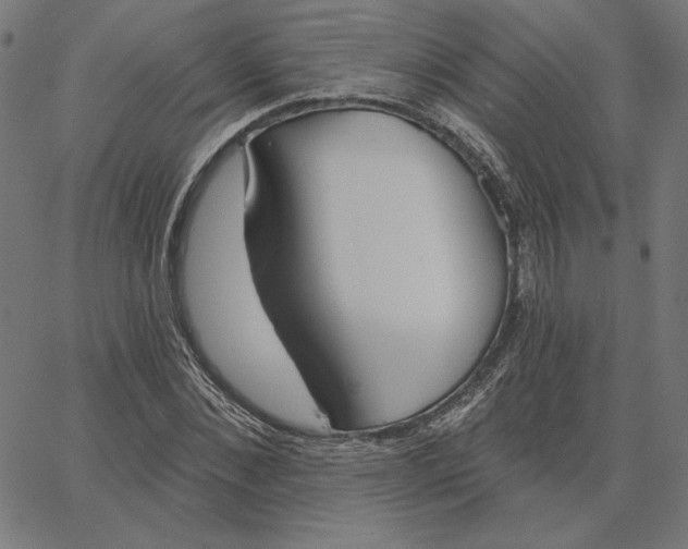 X0000065230876200603101552