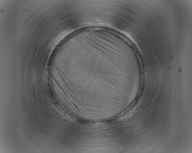 X0000065230879200603101552