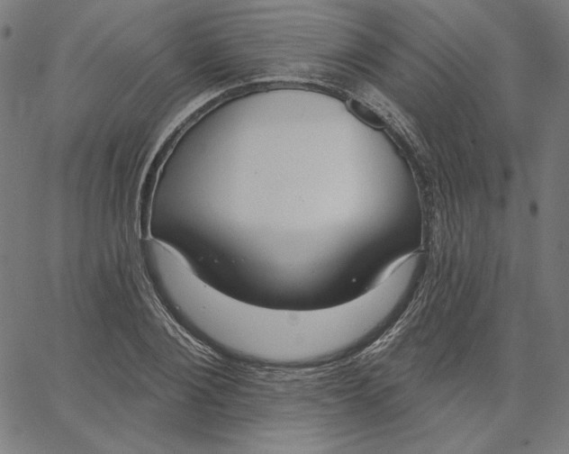 X0000065230884200603101551