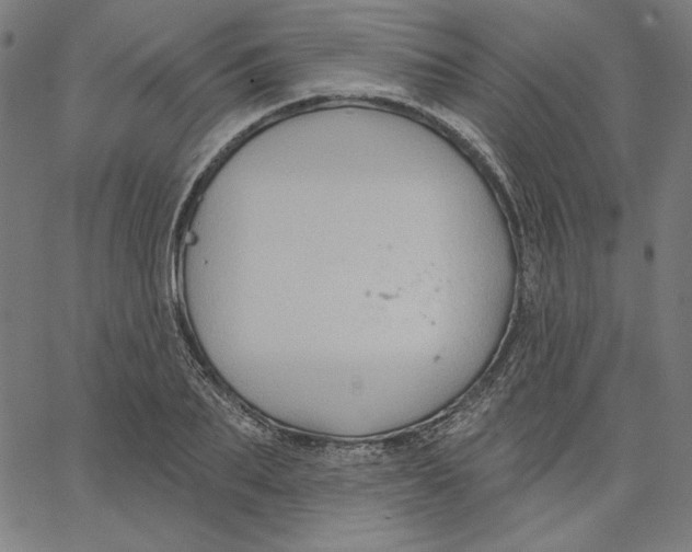 X0000065230887200603101551