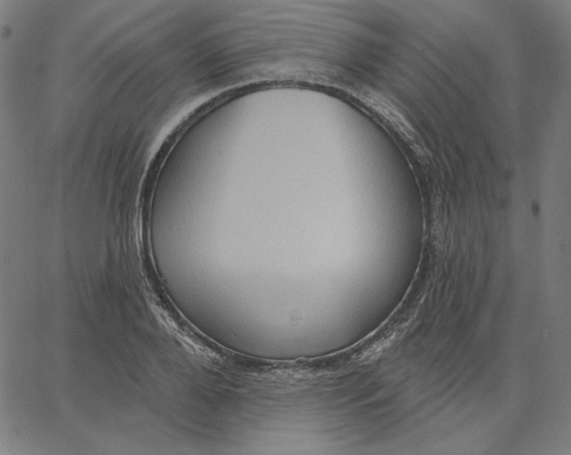X0000065230888200603101551