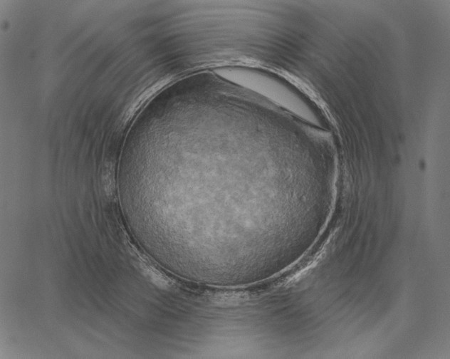 X0000065230889200603101551