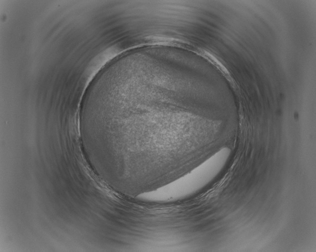 X0000065230891200603101551
