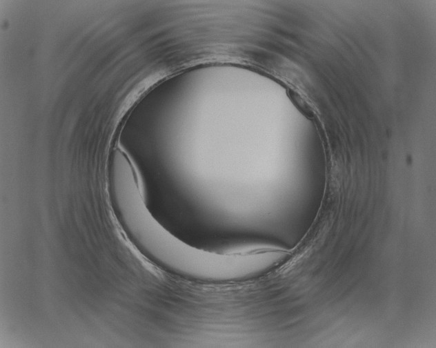 X0000065230898200603101551