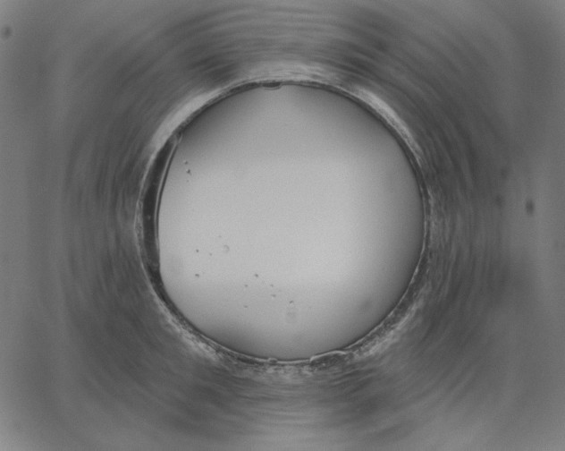 X0000065230901200603101551
