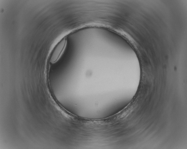 X0000065230902200603101551