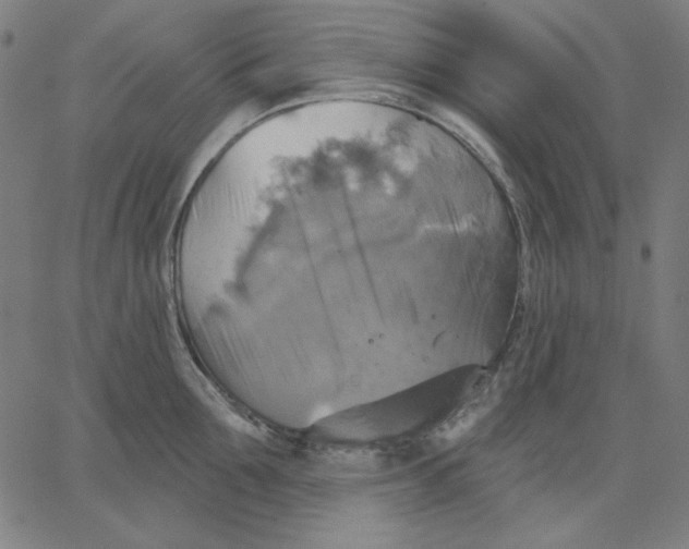 X0000065230907200603101551