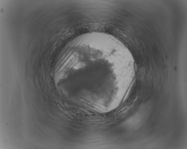 X0000065230913200603101550