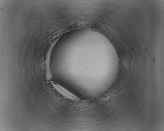 X0000065230914200603101550