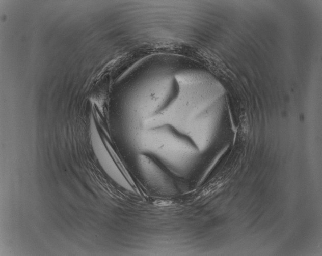 X0000065230916200603101550