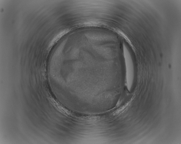 X0000065230930200603101551
