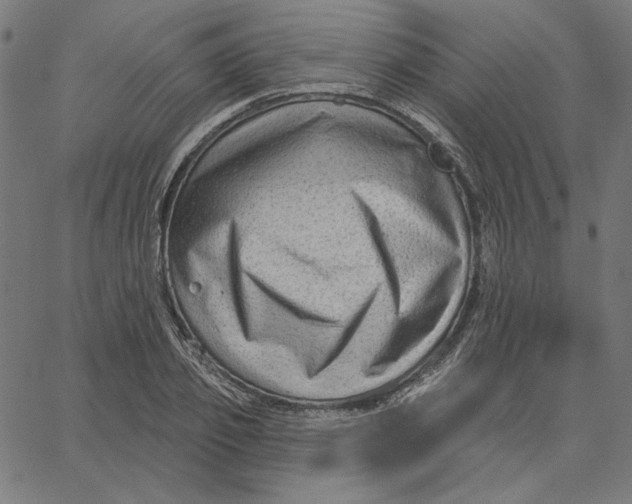 X0000065230933200603101551