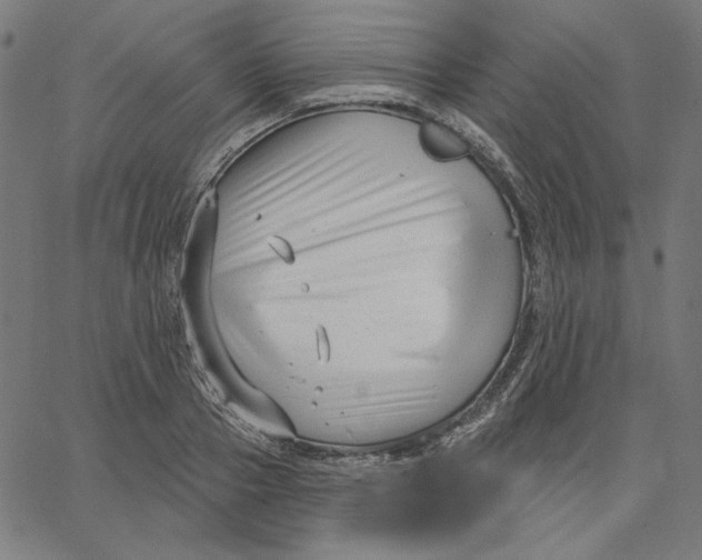 X0000065230937200603101551