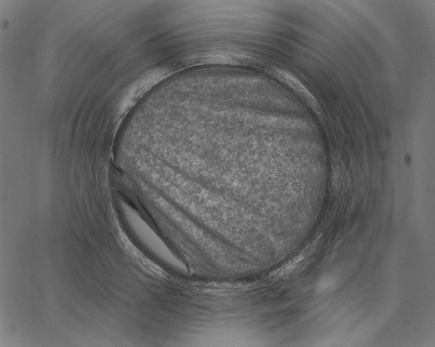 X0000065230938200603101551