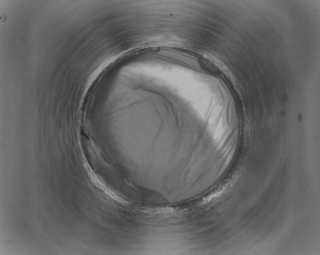 X0000065230941200603101551