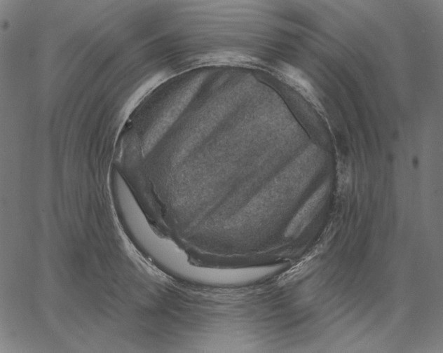 X0000065230946200603101551