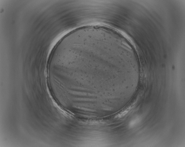 X0000065230951200603101551