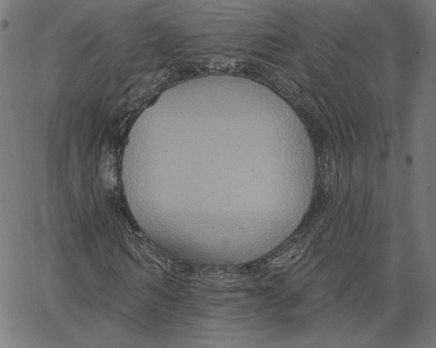 X0000065230962200603101550