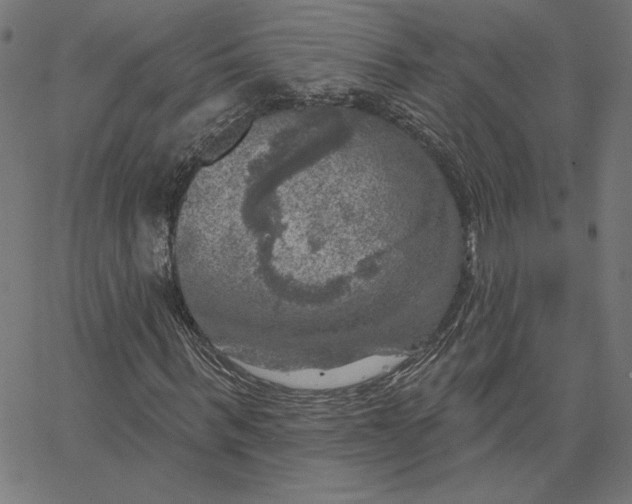 X0000065230963200603101550