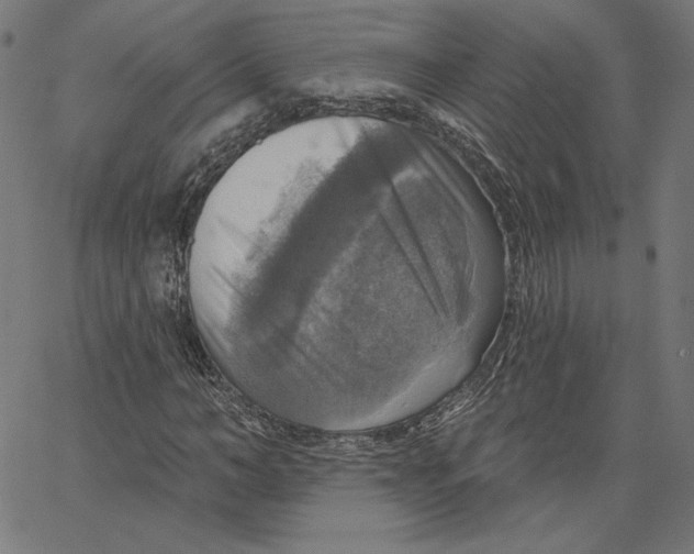 X0000065230966200603101550