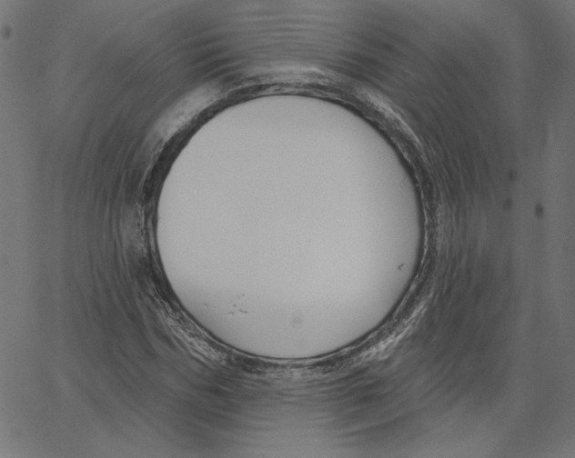 X0000065230970200603101550