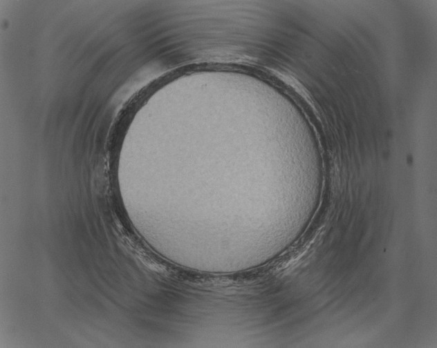 X0000065230971200603101550