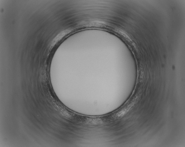 X0000065230978200603101550