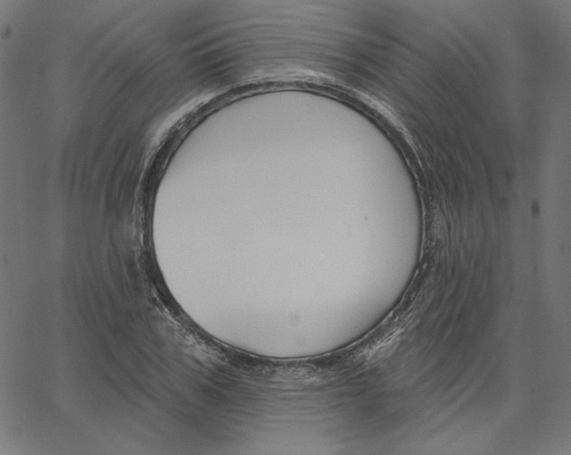 X0000065230979200603101550