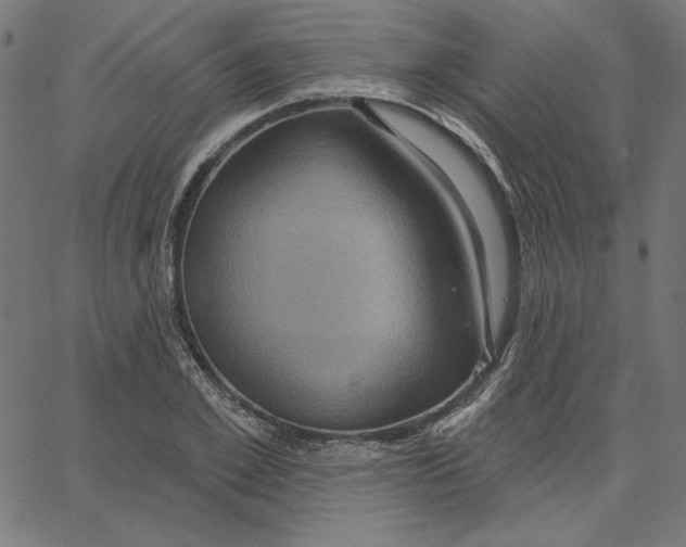 X0000065230981200603101550