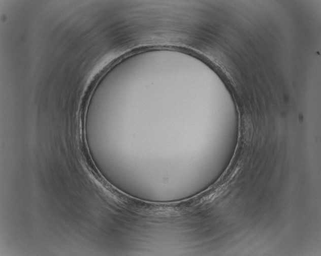X0000065230982200603101550