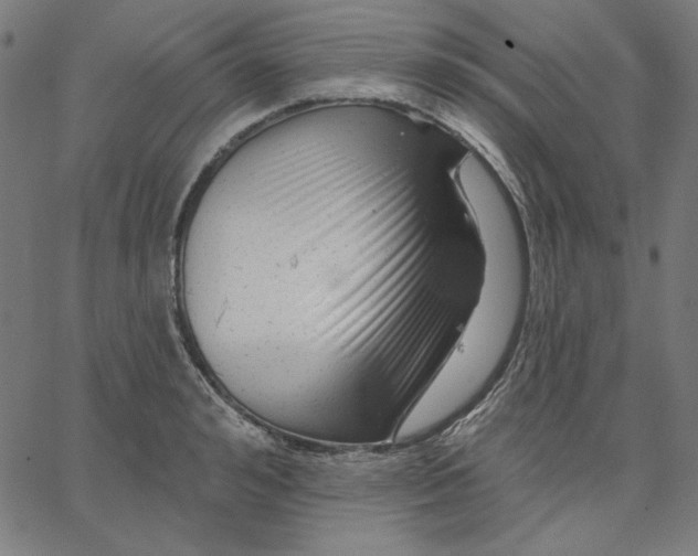 X0000065230992200603101550