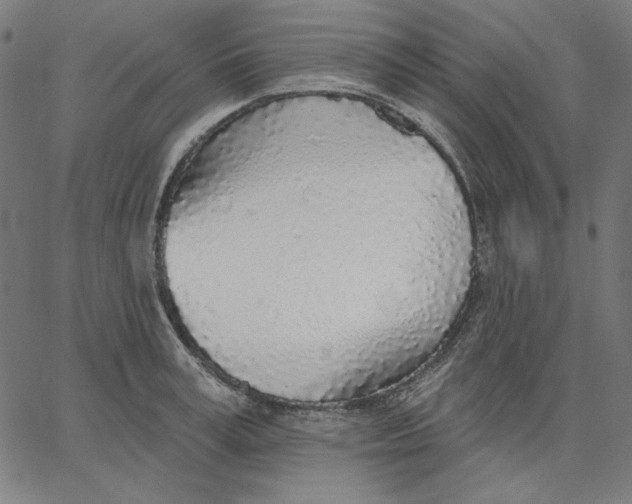 X0000065230995200603101550