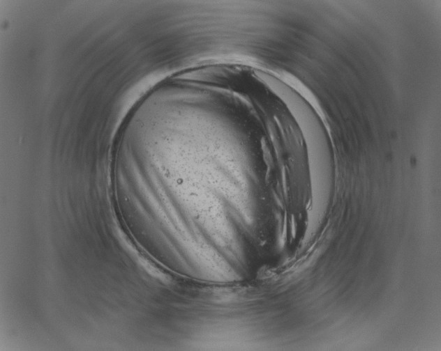 X0000065231005200603101550