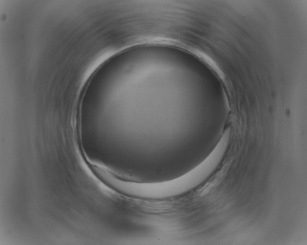 X0000065231007200603101549