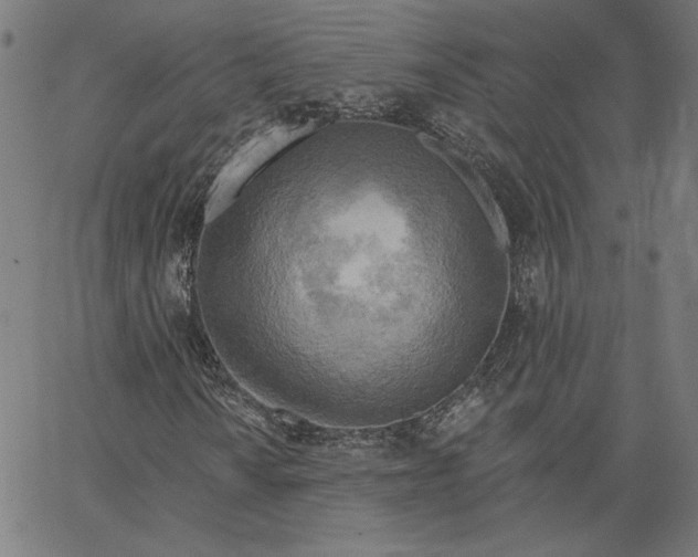 X0000065231010200603101549