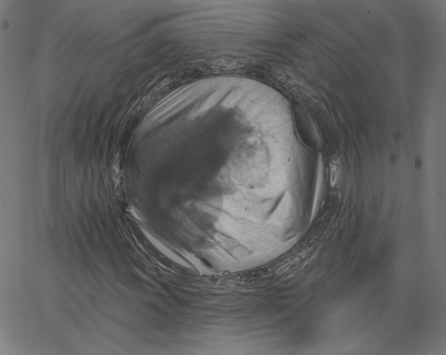 X0000065231011200603101549