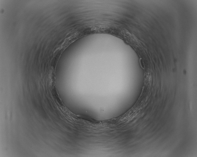 X0000065231012200603101549