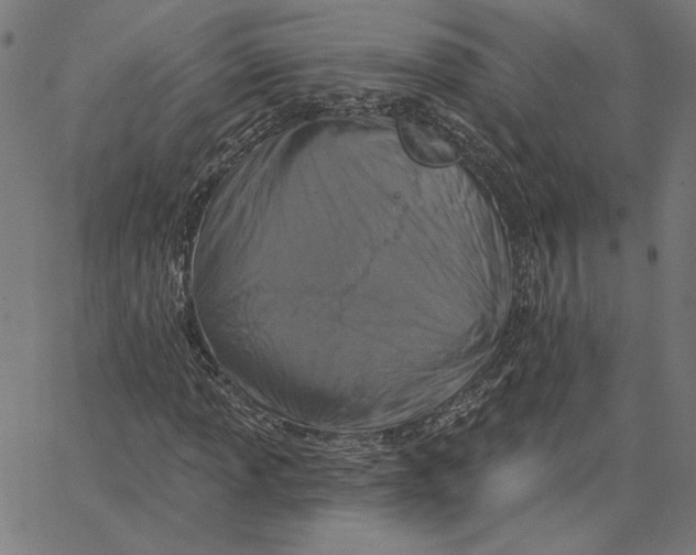 X0000065231013200603101549