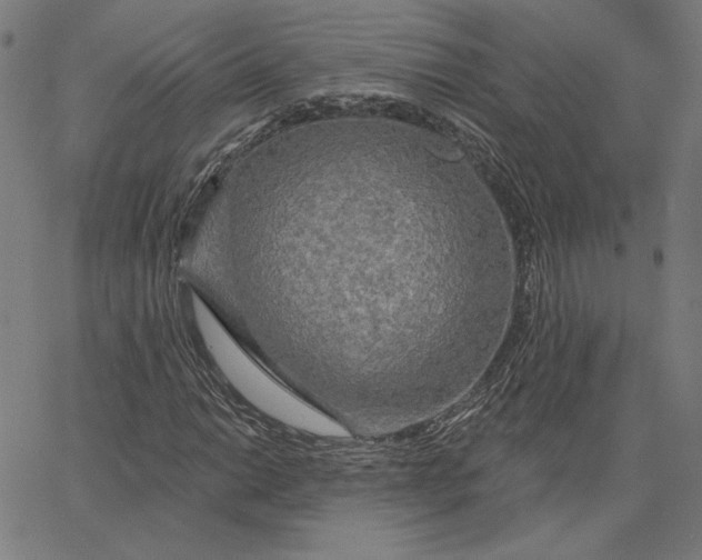 X0000065231014200603101549