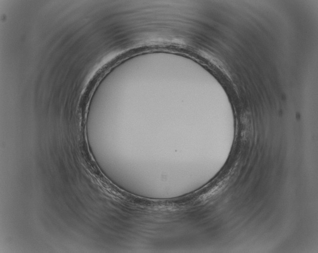 X0000065231021200603101549