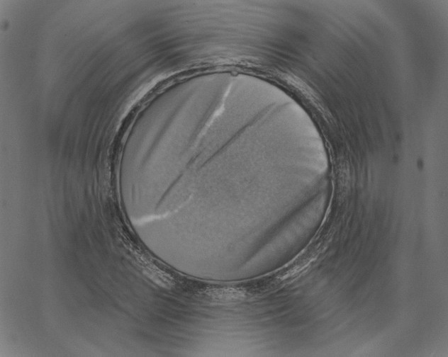 X0000065231023200603101549
