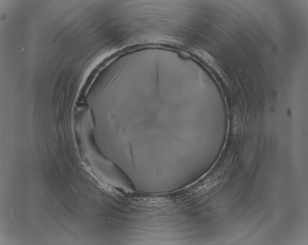X0000065231024200603101549