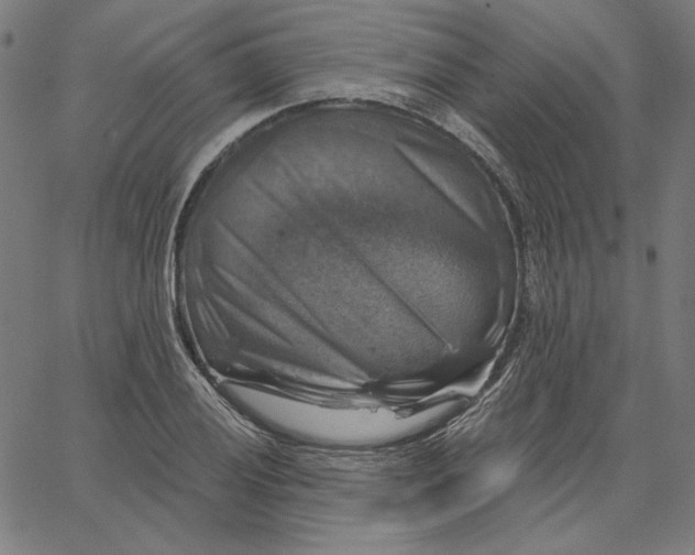 X0000065231028200603101549