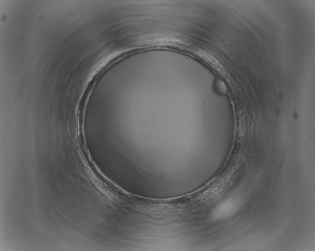 X0000065231031200603101549