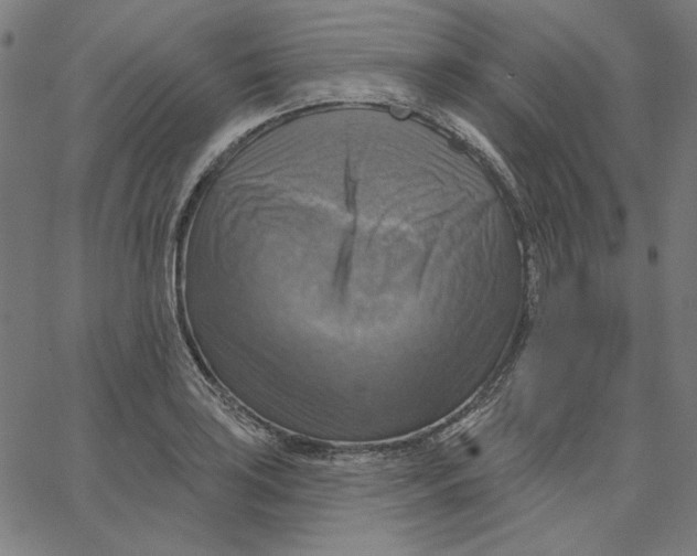 X0000065231035200603101549