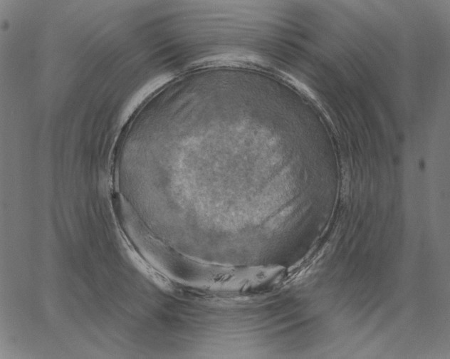 X0000065231042200603101549
