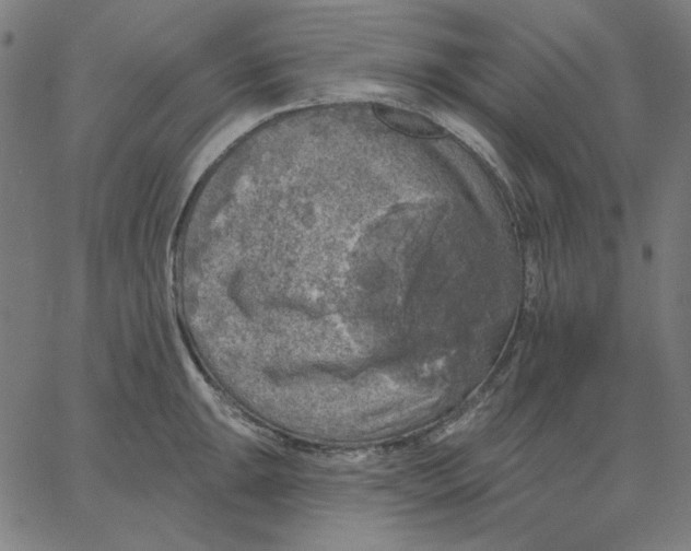 X0000065231047200603101549